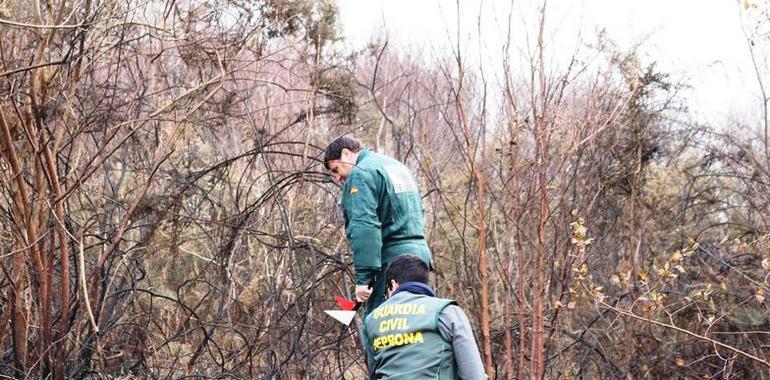 Guardia Civil y Seprona investigan los incendios forestales del Occidente de Asturias