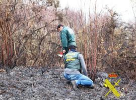 Guardia Civil y Seprona investigan los incendios forestales del Occidente de Asturias