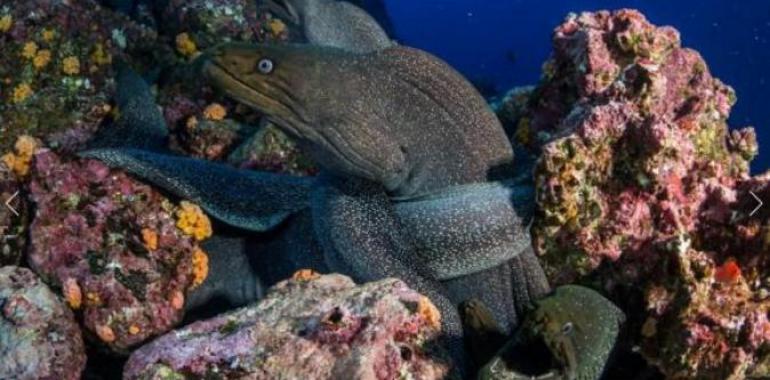 Miguel Bosé, deslumbrado con la belleza desbordante de Islas Galápagos 