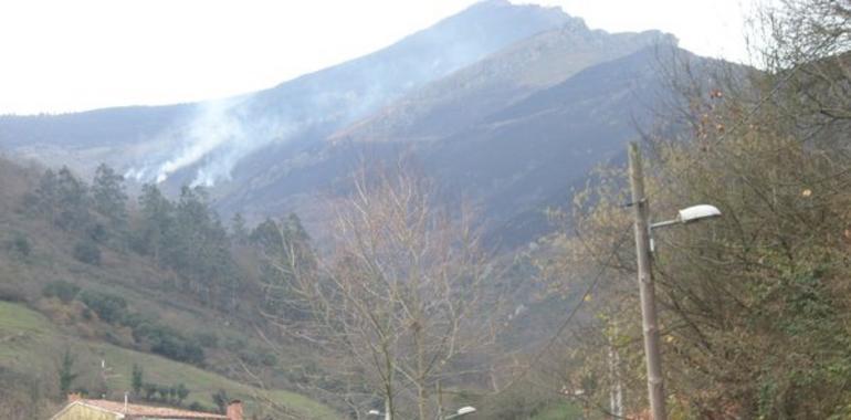 Ascienden a 82 los incendios forestales en Asturias