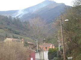 Ascienden a 82 los incendios forestales en Asturias