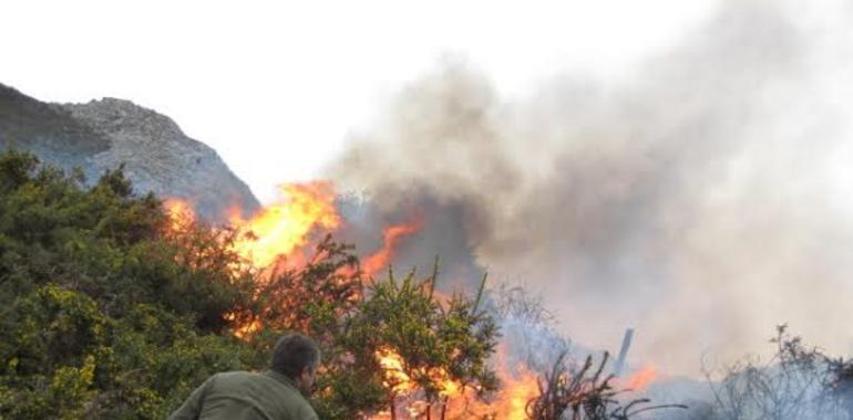 Agresión a un agente del Medio Natural en un incendio en Sobrescobio