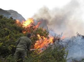 Agresión a un agente del Medio Natural en un incendio en Sobrescobio