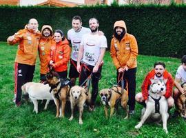 La Fresneda acogió la primera carrera del año de Canicross