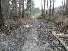 Obras de mejora del camino de Llaceras, en Sierra Plana de La Borbolla