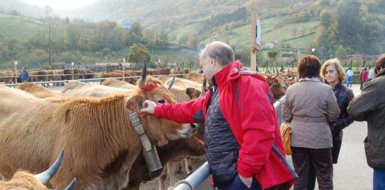 El PP pide que Asturias asuma los veterinarios despedidos por #Tragsa 