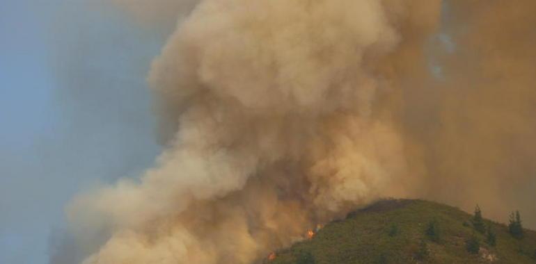 La Coordinadora Ecologista de Asturias pide al gobierno que convoque con urgencia el Consejo del Fuego 