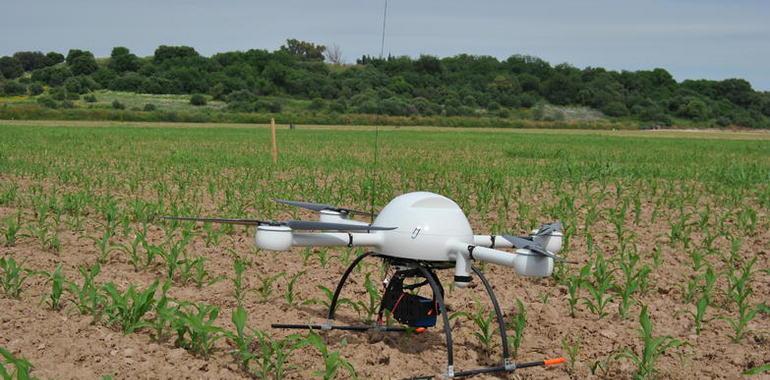 Drones que vigilan las malas hierbas en campos de cultivo