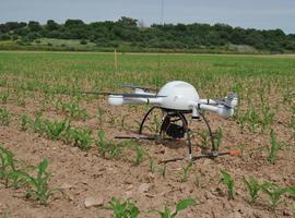 Drones que vigilan las malas hierbas en campos de cultivo