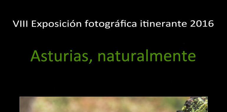 Los fotógrafos de naturaleza, Afonas, exponen en Grado "Asturias, naturalmente"