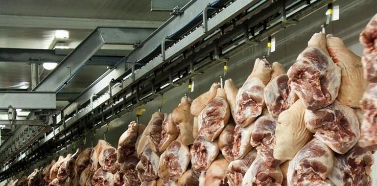 La producción cárnica en macelos cae entre un 24 y un 43€ en Asturias