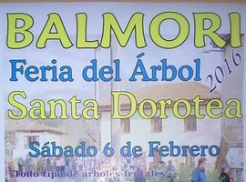 Balmori celebra el día 6 la Feria del Árbol de Santa Dorotea