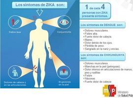 Asocian aumento de casos de síndrome de Gilllain Barre y microcefalias al zika  