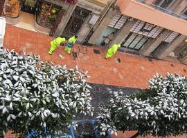 Alerta por nevadas en zonas bajas de Asturias desde la tarde de hoy, miércoles