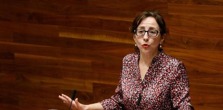 Belén Fernández revisará las licencias medioambientales en Avilés, además de en Gijón