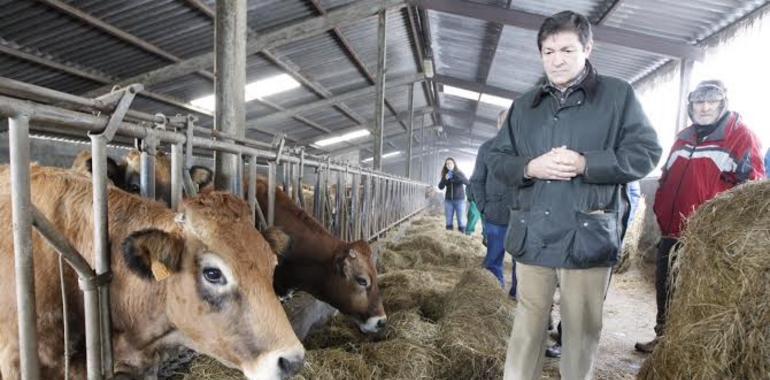 Javier Fernández prefiere un Gobierno que sepa gestionar la economía y "el desafío secesionista"