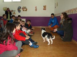 La Feria del #Perro de Tineo informa a los escolares sobre el #maltrato #animal