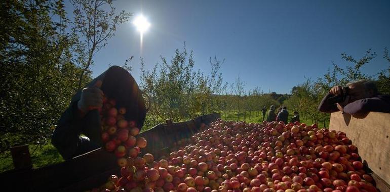 La espumosa de la DOP Sidra de Asturias se codea con los champagnoise y los spumosos