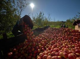 La espumosa de la DOP Sidra de Asturias se codea con los champagnoise y los spumosos