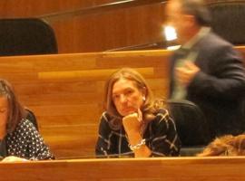 El TSJA ve indicios de delito en la actuación de la exalcaldesa de Llanes (PSOE) en el caso Kaype