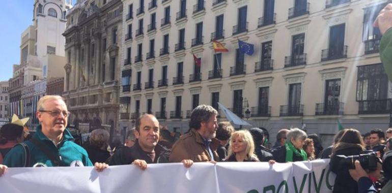 Miles de personas exigen en Madrid #LoboProtegidoYA