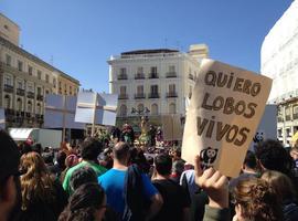 "Las administraciones no pueden ignorar el clamor ciudadano en defensa del lobo"