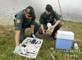 Un vecino de Cangas de Onís deja morir a una tigresa enjaulada 