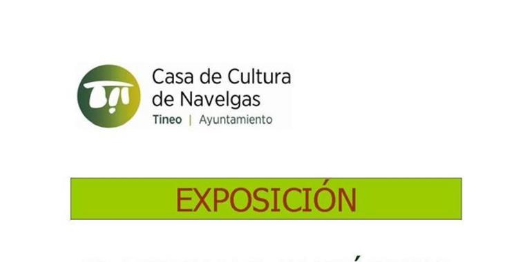 Exposición sobre el urogallo cantábrico en la Casa de Cultura de Navelgas