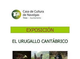 Exposición sobre el urogallo cantábrico en la Casa de Cultura de Navelgas