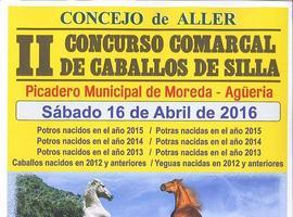 Abiertas inscripciones para el II Concurso comarcal de Caballo de Silla en Aller