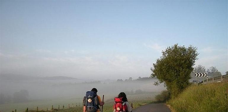 Ciudadanos reclama un Plan Estratégico para el Camino de Santiago original