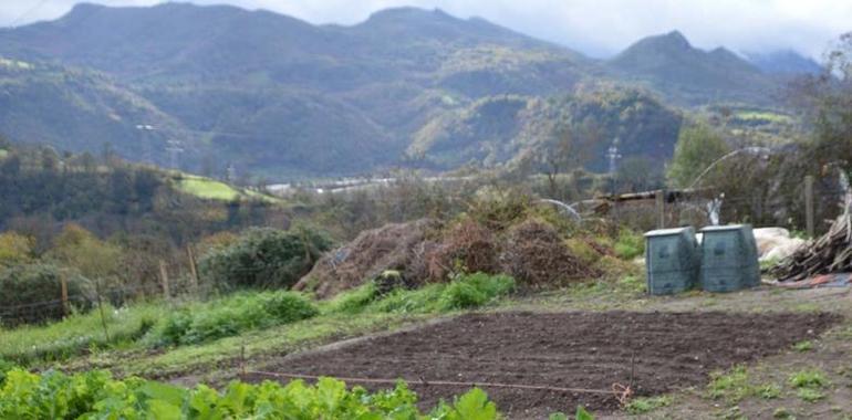 Ya se pueden solicitar los 45 huertos ecológicos de San Lázaro de Paniceres