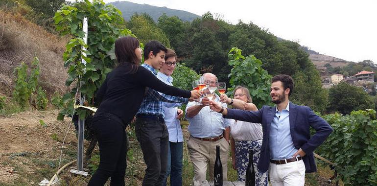 El vino asturiano Vitheras Blanco obtiene medalla de plata en el Bacchus 2016