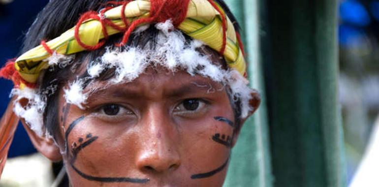 Survival pide a ONU acabar con la devastación de la Amazonía envenenada con mercurio