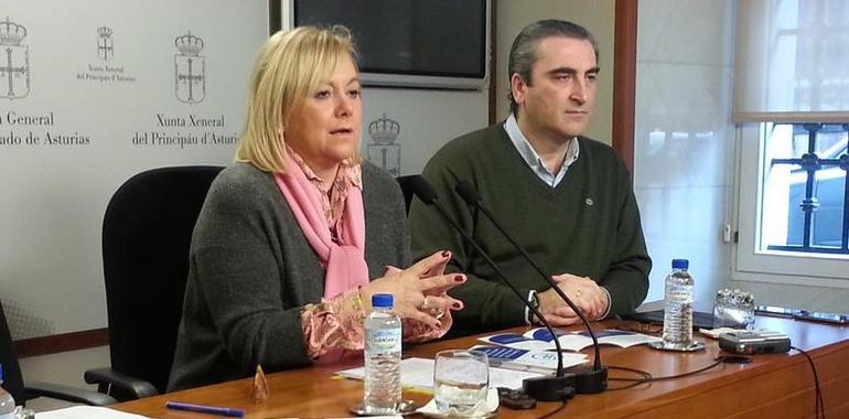 PP Asturias presenta su proposición de Ley de Garantías Sanitarias, sin cuadro económico