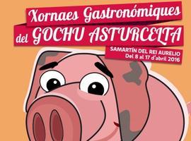 El Gochu Asturcelta estrena jornadas gastronómicas en San Martín