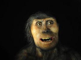 El Sidrón revela que del macho neandertal no nos quedó nada