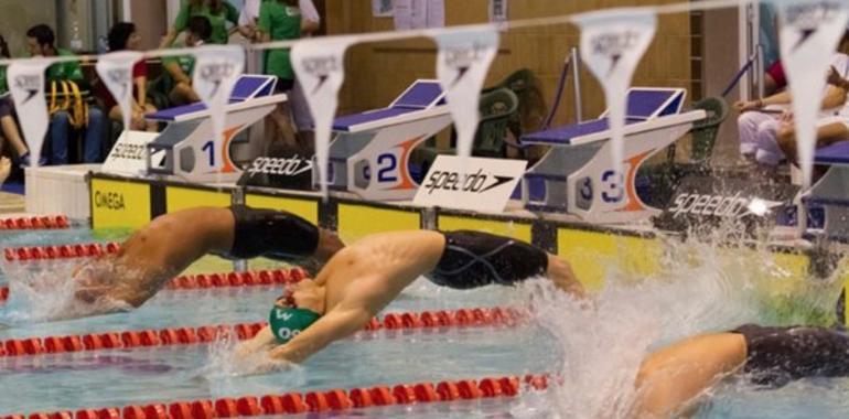 Triunfo del Club Natación Santa Olaya en el IV Memorial Adolfo Carbajosa 