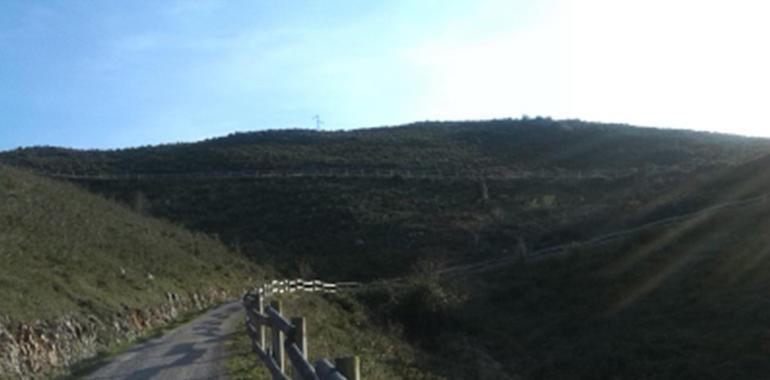 Ayuntamiento y Caja Rural celebran la Semana del Árbol en el Naranco