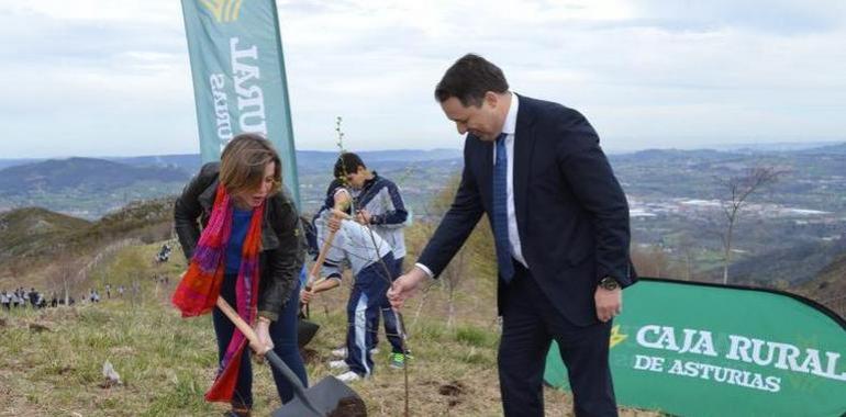 Más de 500 escolares al Naranco en la Semana del Árbol 