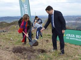 Más de 500 escolares al Naranco en la Semana del Árbol 