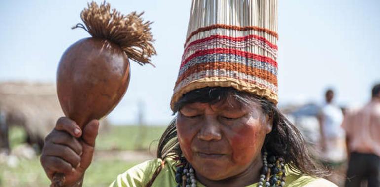 Survival lanza su campaña “Stop al genocidio en Brasil” durante el año olímpico