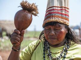 Survival lanza su campaña “Stop al genocidio en Brasil” durante el año olímpico