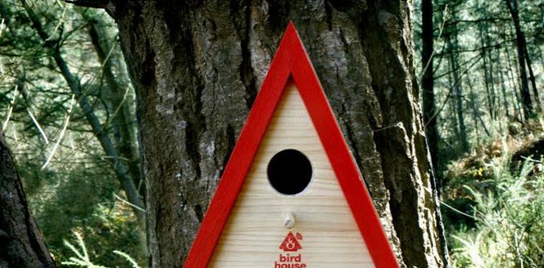 Bird House Alarm alertará de posibles incendios en el bosque de Nocedo, Llanes