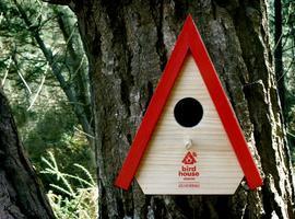 Bird House Alarm alertará de posibles incendios en el bosque de Nocedo, Llanes