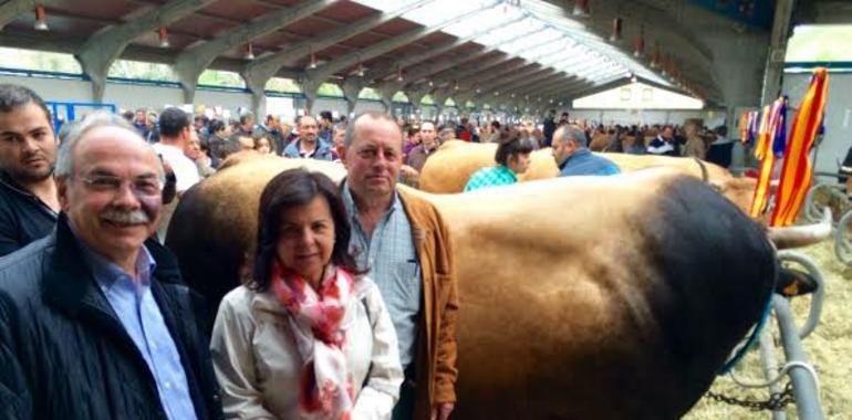 La Roxa (Asturiana de los Valles) alcanza las 196.000 cabezas