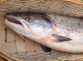 Un gallego de Pontedeume clava en el río Eo el Campanu de Asturias