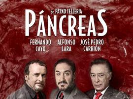 Páncreas, una comedia sobre los límites de la amistad, en el Niemeyer