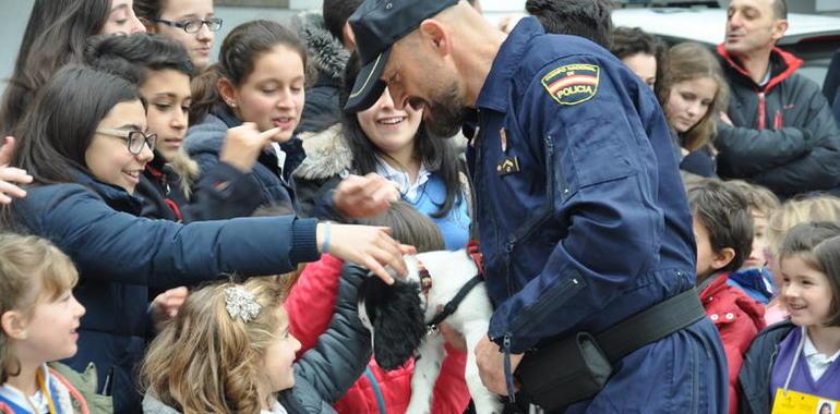 110 escolares de Oviedo acuden a una exhibición de la Policía Nacional