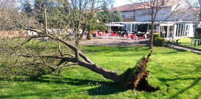 Asturias, en alerta por fuertes vientos durante el lunes